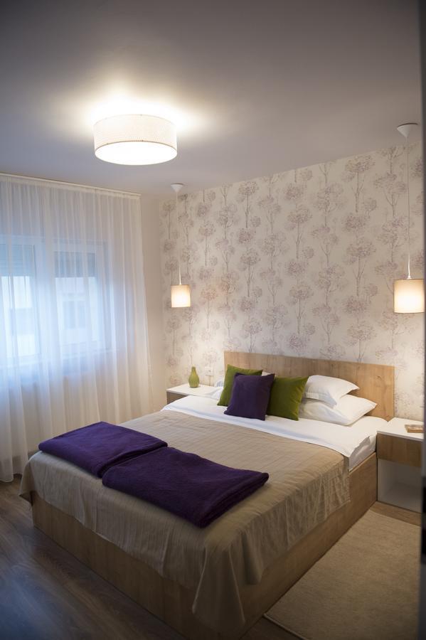 Smp Apartment 2 تيميشورا المظهر الخارجي الصورة